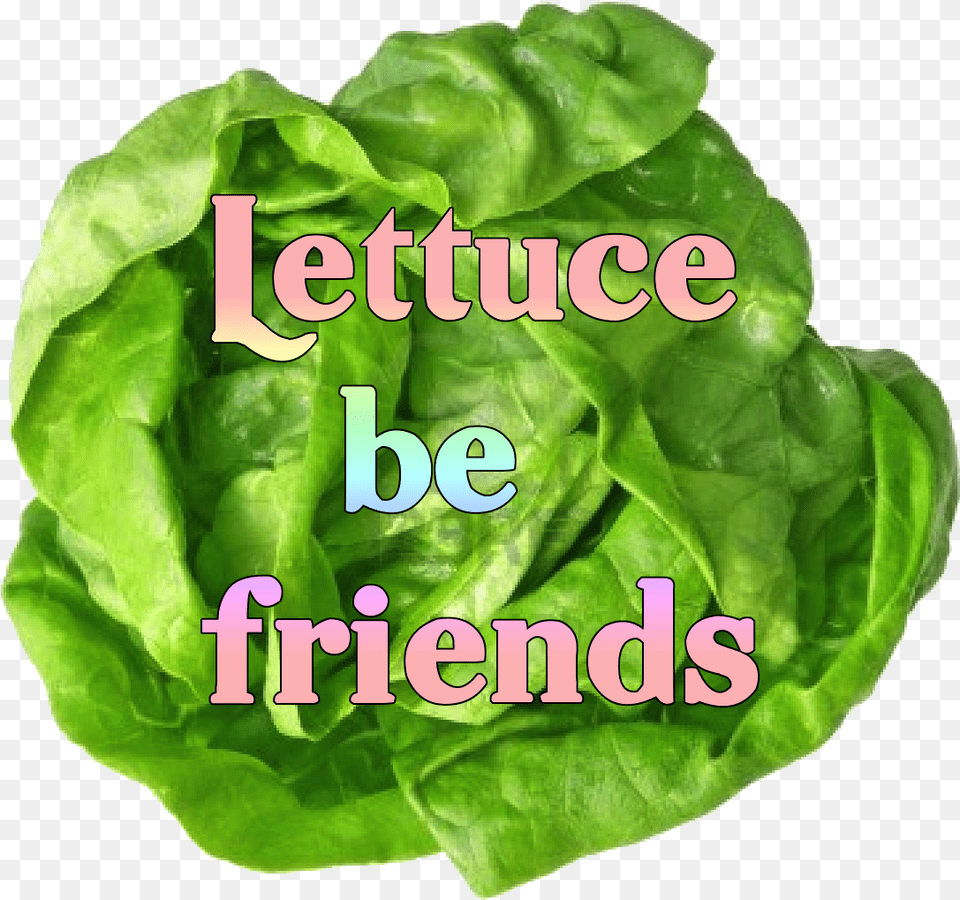 Transparentmy E Transparentmy Editcollage Salat Boston, Food, Lettuce, Plant, Produce Png Image