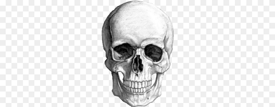 Transparents Skull Drawing Pencil, Head, Person, Face Png Image