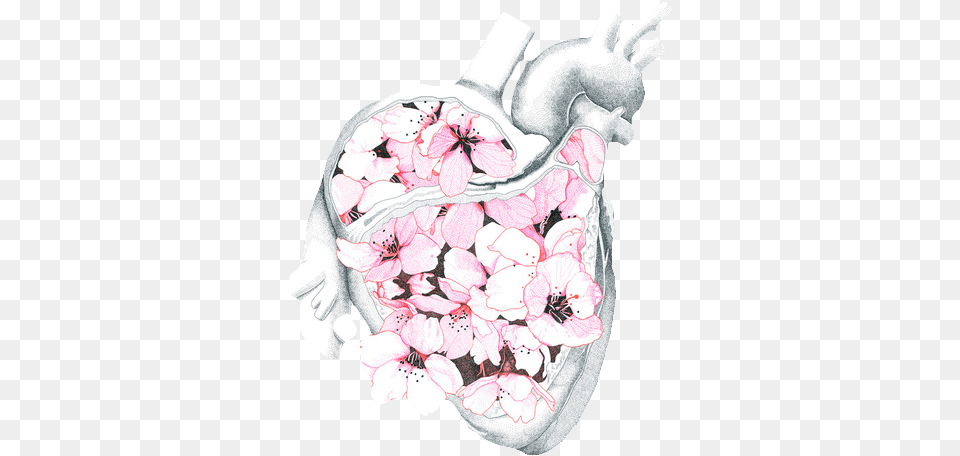 Transparentsticker Blg Soft Grunge Anatomy Art Heart Flower Heart Aesthetic, Plant, Petal, Cherry Blossom, Baby Free Png Download