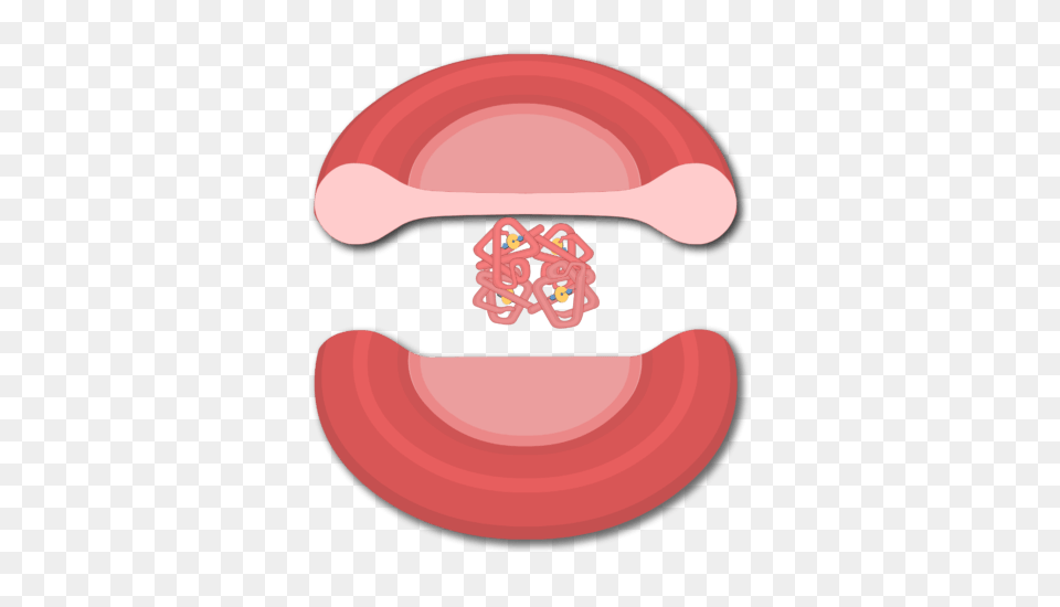 Transport Of Oxygen In The Blood, Body Part, Mouth, Person, Tongue Free Transparent Png