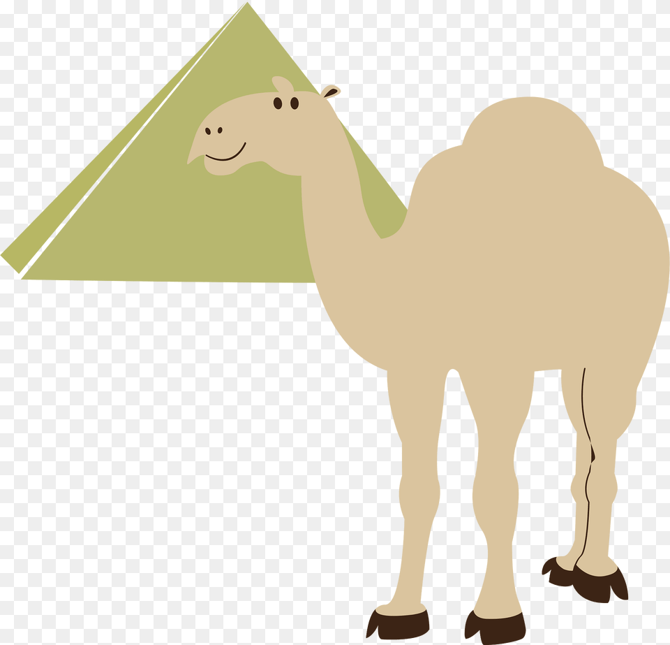 Transportation Clipart, Animal, Camel, Mammal, Bear Png Image