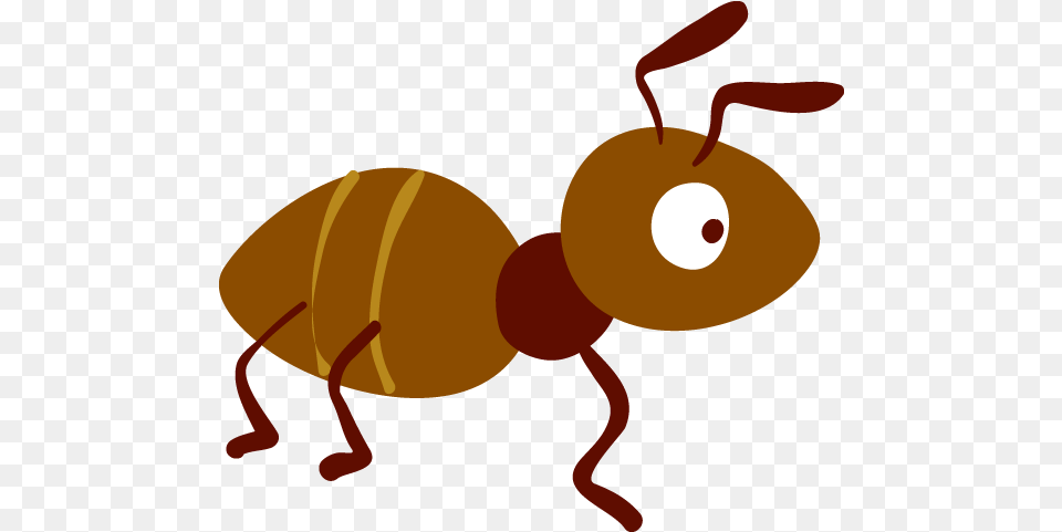 Transprent Pollinator, Animal, Ant, Insect, Invertebrate Free Png Download