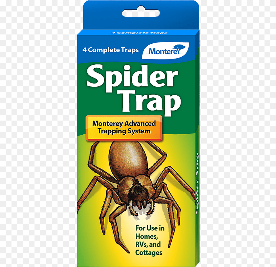 Trap, Animal, Invertebrate, Spider Free Png