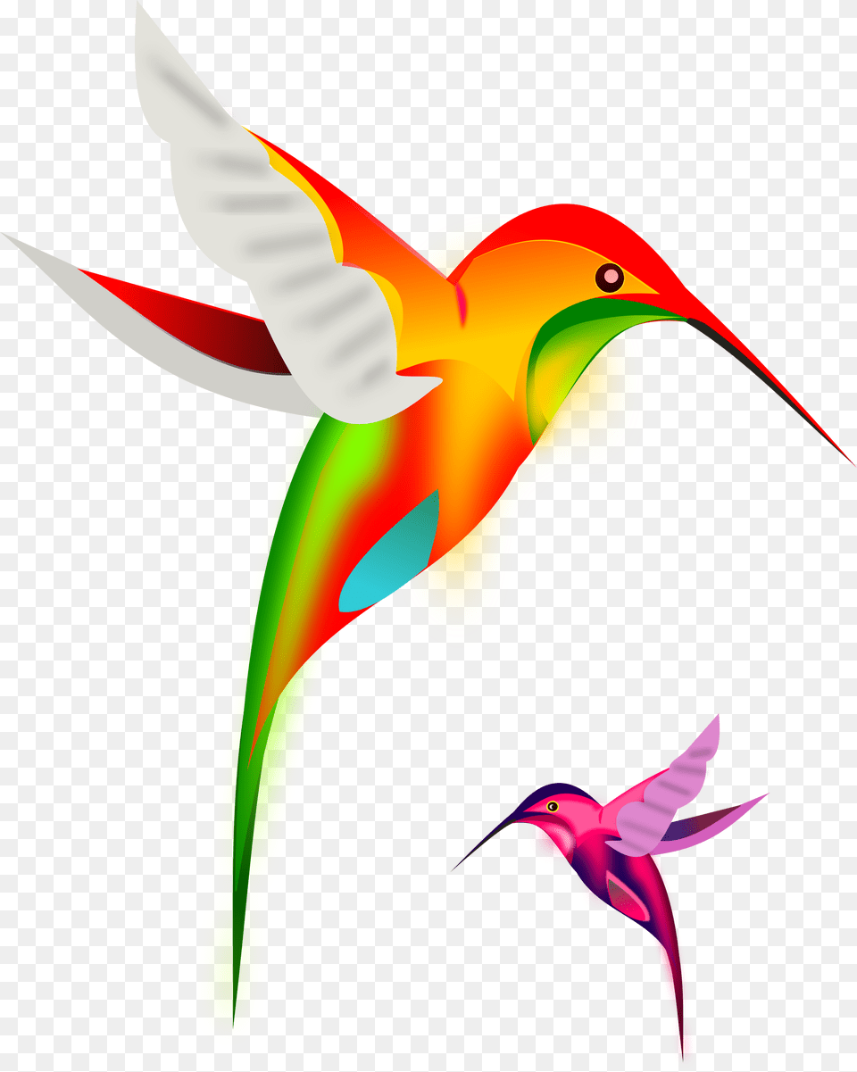 Trap Shoot Clay Bird Clipart, Animal, Hummingbird, Flying Png