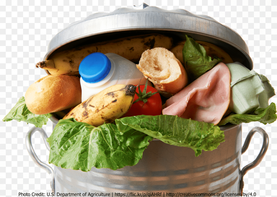 Trash Can Filled With Food Wasted Food, Lunch, Meal, Banana, Fruit Png