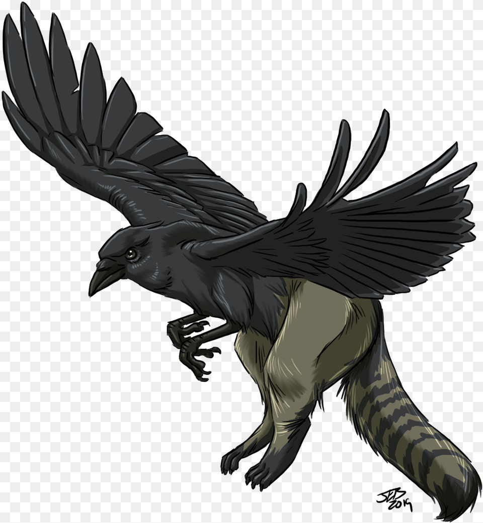 Trash Gryphons, Animal, Bird, Blackbird Free Png Download