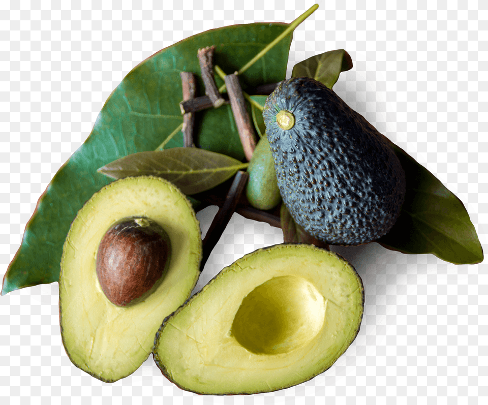Tratamiento Natural Avocado Avocado, Food, Fruit, Plant, Produce Free Png
