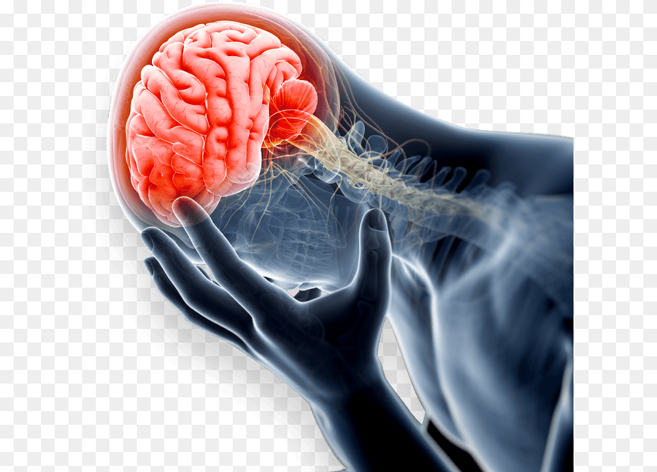 Traumatic Brain Injury Lawyer Get Over It Anxiety, Adult, Female, Person, Woman Free Png