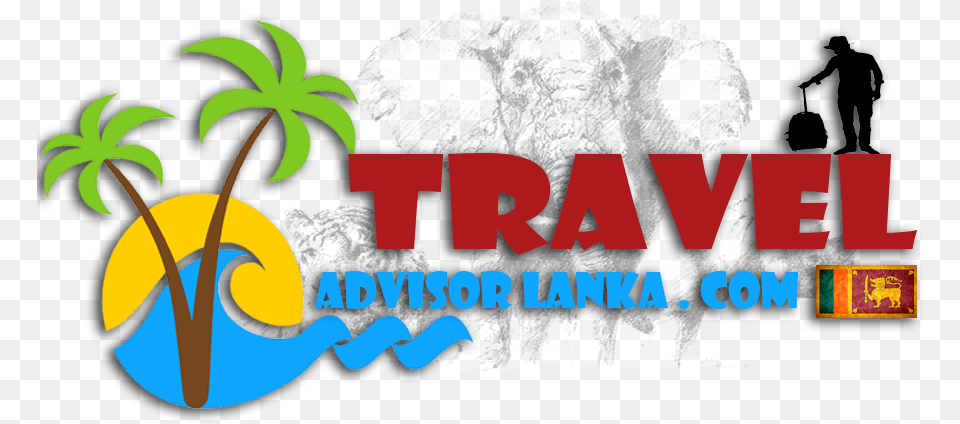 Travel Advisor Lanka Graphic Design, Zoo, Animal, Person, Man Free Transparent Png