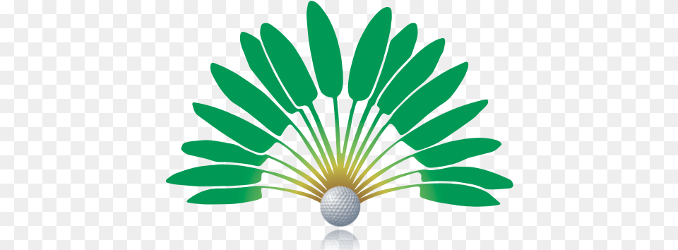 Travel Golf Prestige Captain Clean Reinigungspads 3 Stck, Badminton, Ball, Golf Ball, Person Free Png