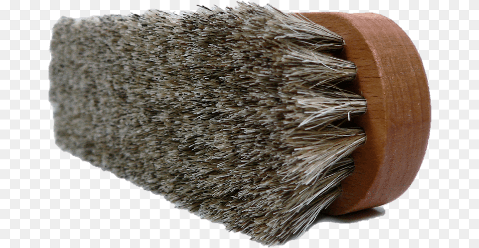 Travel Shine Shoe Brush Hay, Device, Tool, Fungus, Plant Free Png