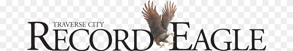 Traverse City Record Eagle, Animal, Bird, Bald Eagle, Beak Free Png