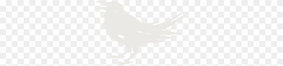 Trc Raven Light Perching Bird, Person, Animal Free Png Download