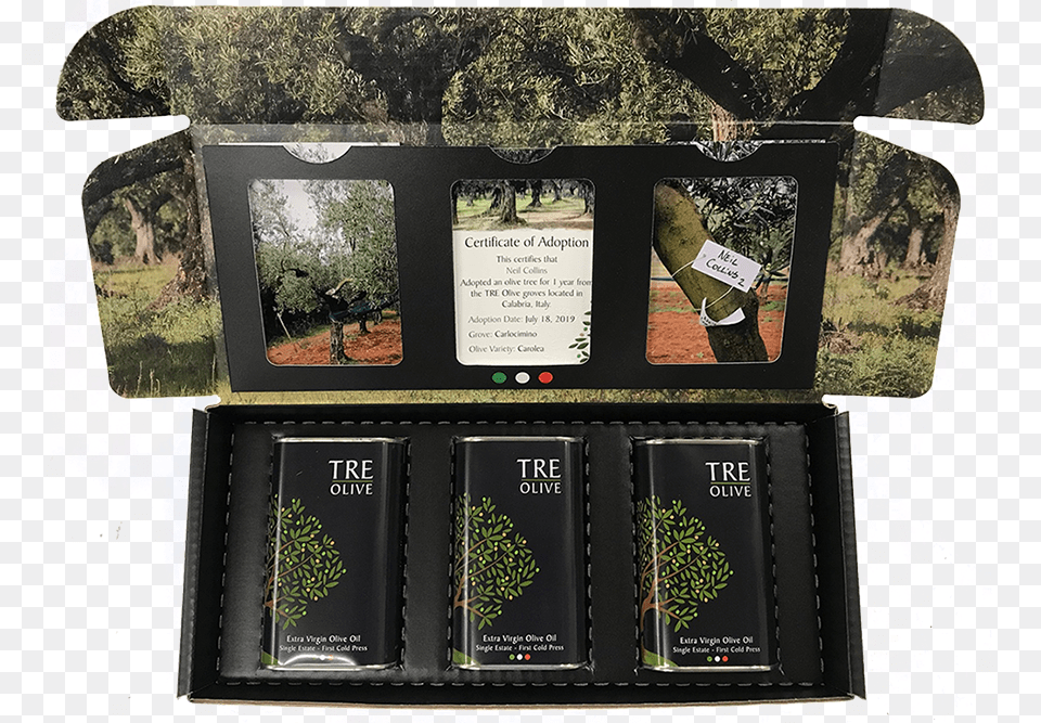 Tre Olive Adoption Package, Art, Collage, Plant, Vegetation Free Png Download