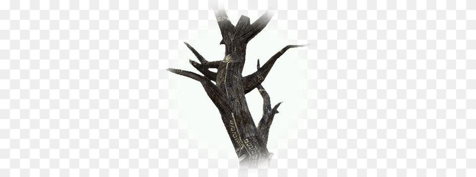 Treant Ghost Tree Bdo Codex Art, Plant, Wood, Tree Trunk, Plate Free Png