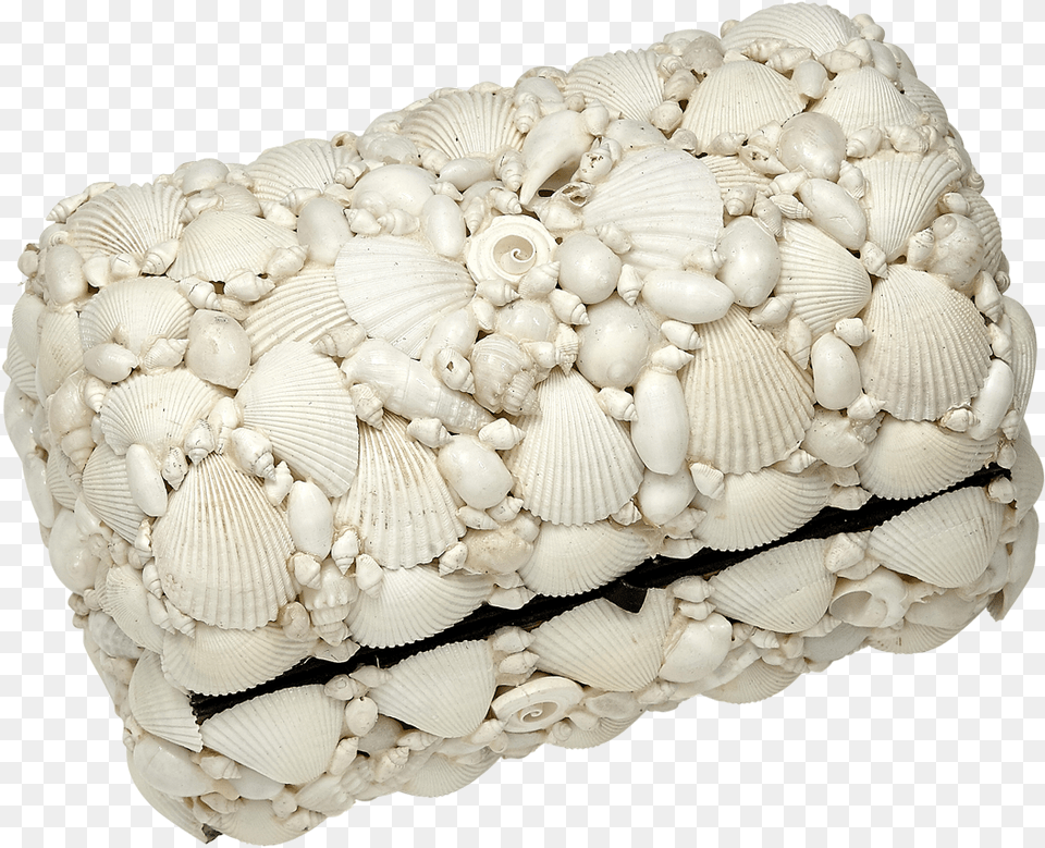 Treasure Box White Ss10x6 Handbag, Animal, Clam, Food, Invertebrate Png