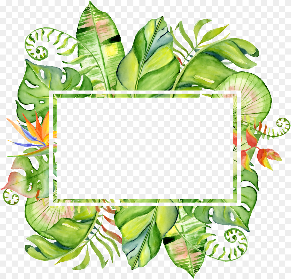 Treasure Color Column Surrounded By Tropical Watercolor Border, Art, Plant, Leaf, Green Png Image