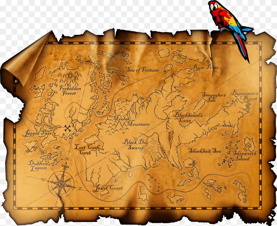 Treasure Transparent Treasure Map Transparent, Animal, Bird, Chart, Plot Png Image