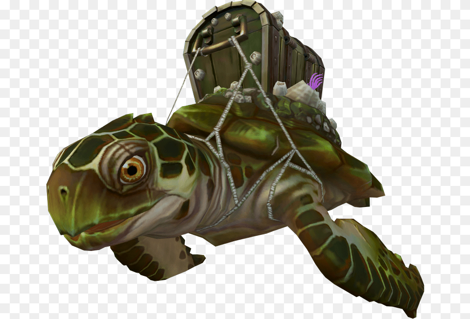 Treasure Turtle, Animal, Reptile, Sea Life, Tortoise Free Transparent Png