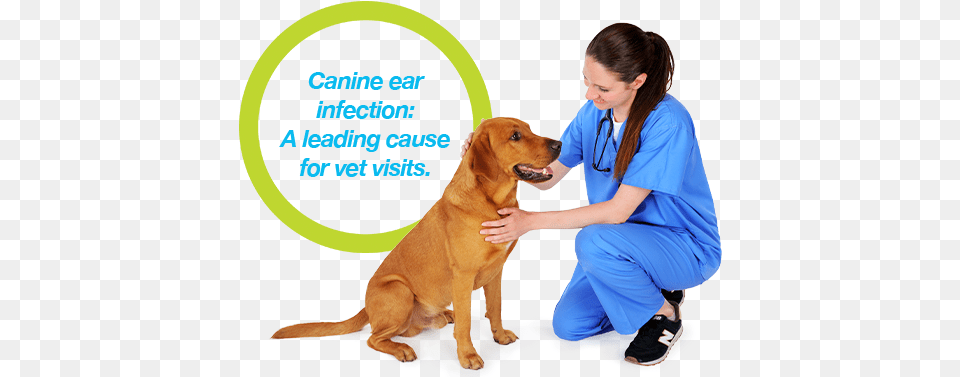 Treating Dog Ear Infections Just Got Easier Dog Yawns, Doctor, Person, Adult, Veterinarian Free Png Download