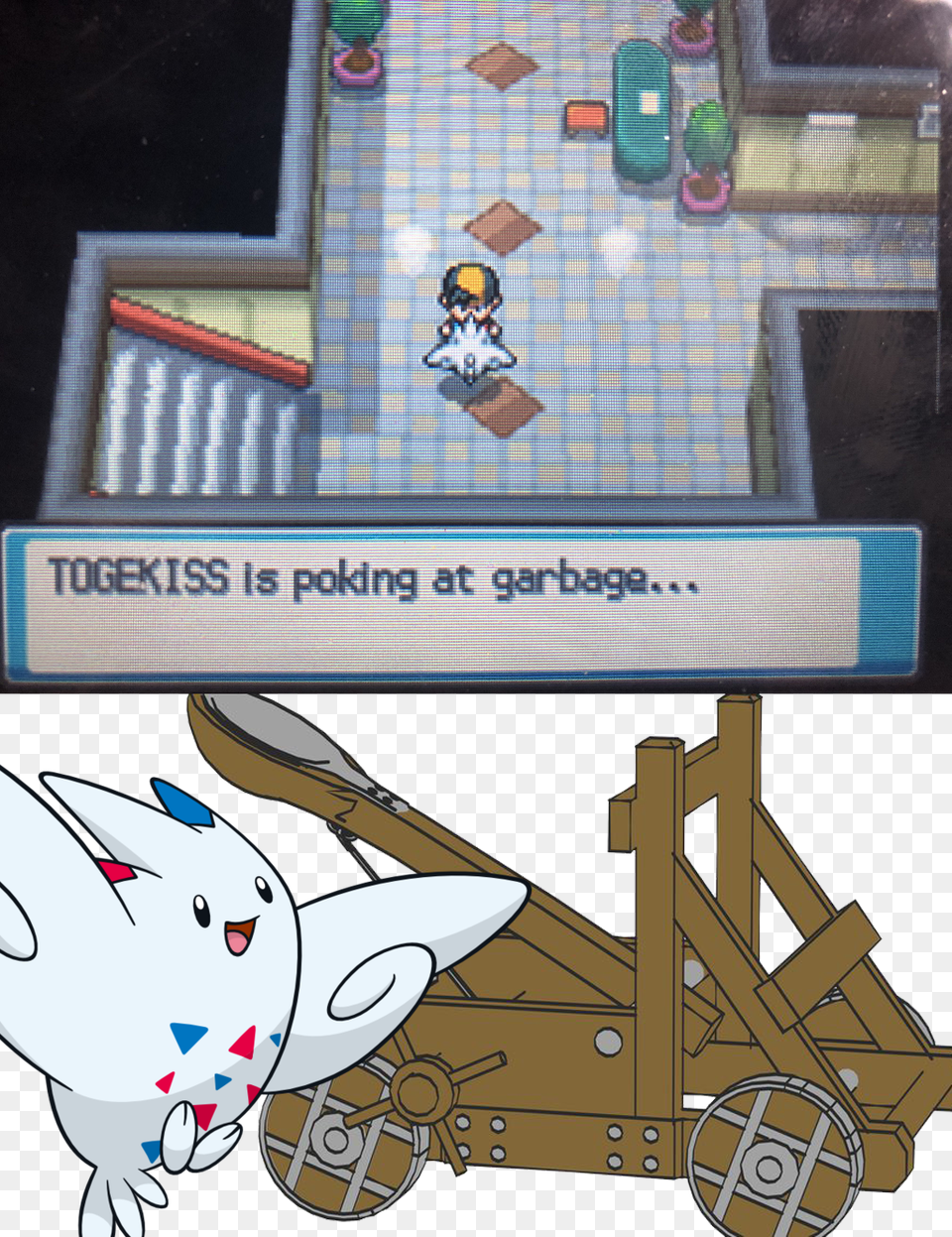 Trebuchetmemes Togekiss Is Poking At Garbage, Wheel, Machine, Face, Head Png