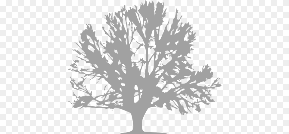 Tree 041 Icons Tree Icon, Plant, Art, Potted Plant, Drawing Free Transparent Png
