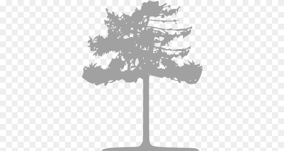Tree 044 Icons Silhouette, Plant, Potted Plant, Person, Art Free Png Download