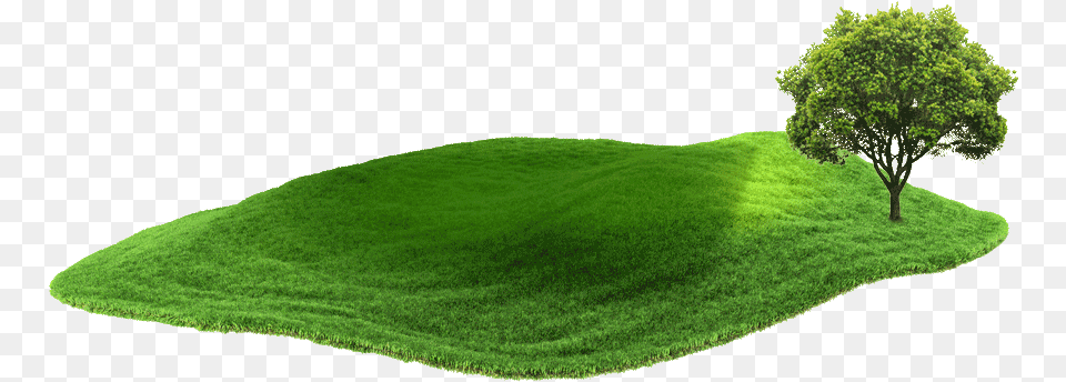 Tree, Field, Plant, Outdoors, Nature Png
