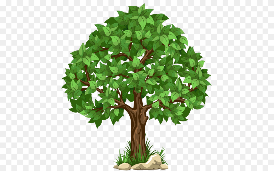 Tree, Green, Oak, Plant, Potted Plant Png Image