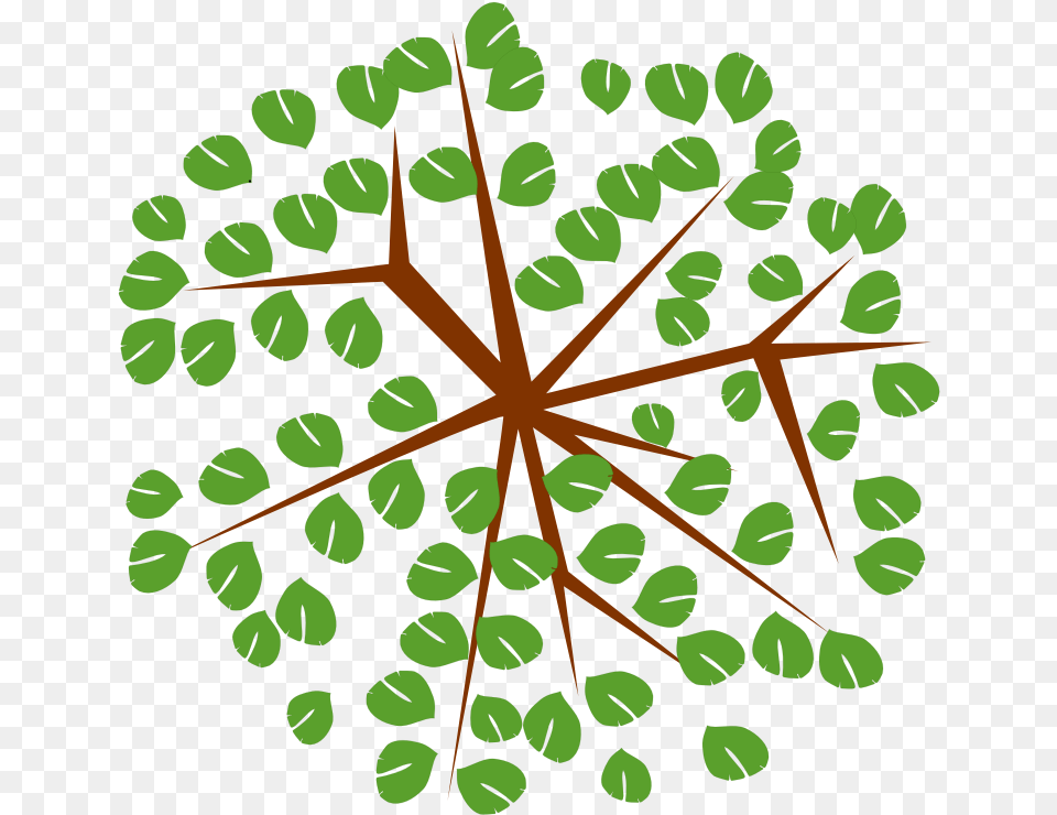 Tree 12c Tree Clipart From Top Full Size Tree Top View Icon, Leaf, Plant, Pattern, Outdoors Free Transparent Png