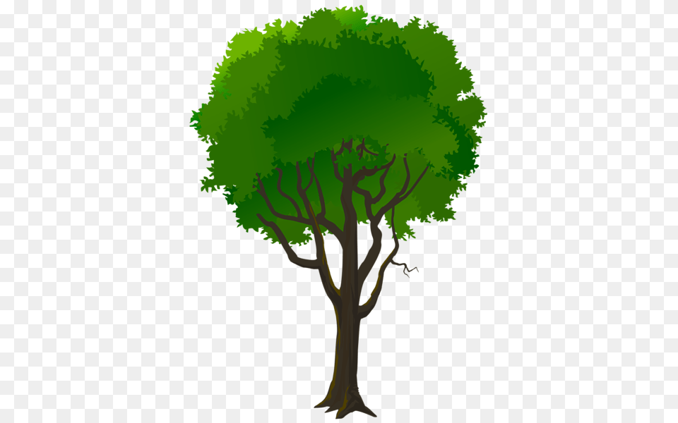 Tree, Plant, Vegetation, Tree Trunk, Art Png Image