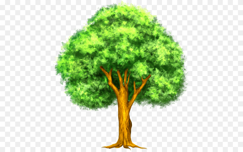 Tree, Plant, Vegetation, Land, Nature Free Png Download