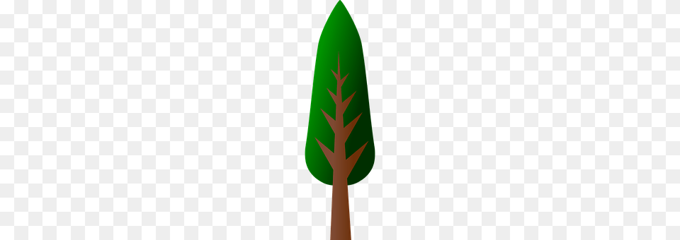 Tree Weapon, Leaf, Plant, Spear Png
