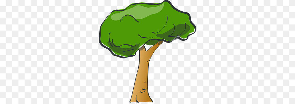 Tree Plant, Broccoli, Food, Produce Free Png