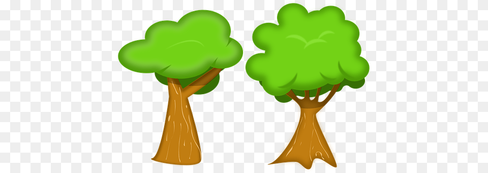 Tree Green, Plant, Potted Plant, Vegetation Png Image