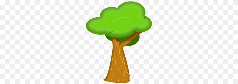 Tree Green, Plant Png