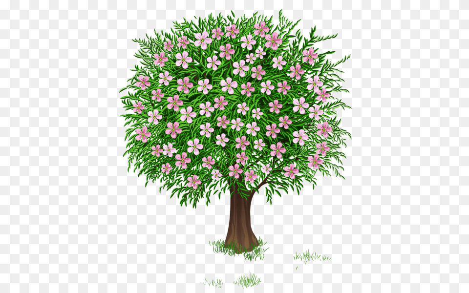 Tree, Plant, Flower, Vegetation, Grass Free Png Download