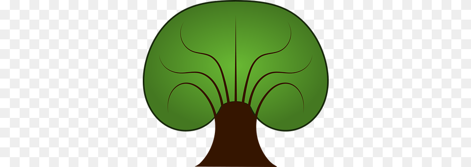 Tree Green, Nature, Night, Outdoors Png Image