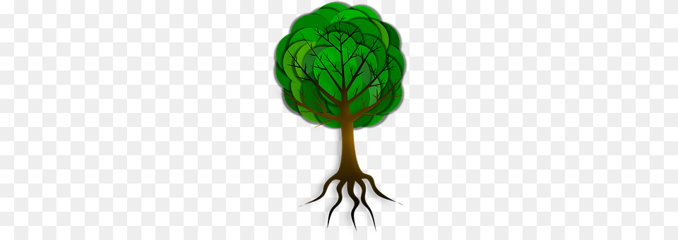 Tree Green, Leaf, Plant, Cross Png