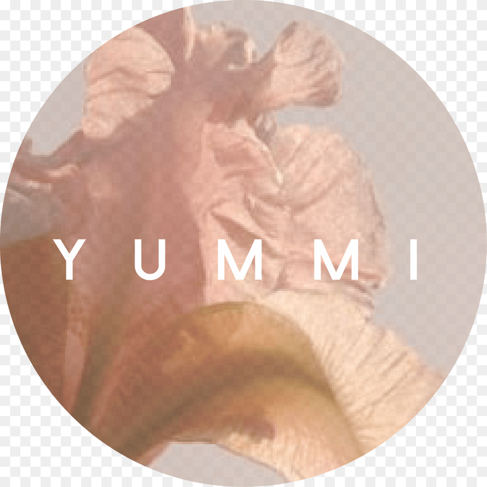 Tree, Flower, Petal, Plant Free Png Download