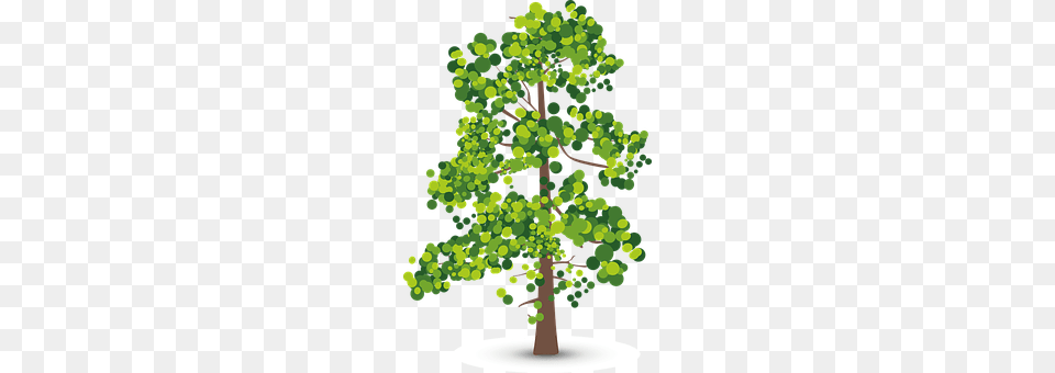 Tree Green, Plant, Vegetation, Sycamore Free Png