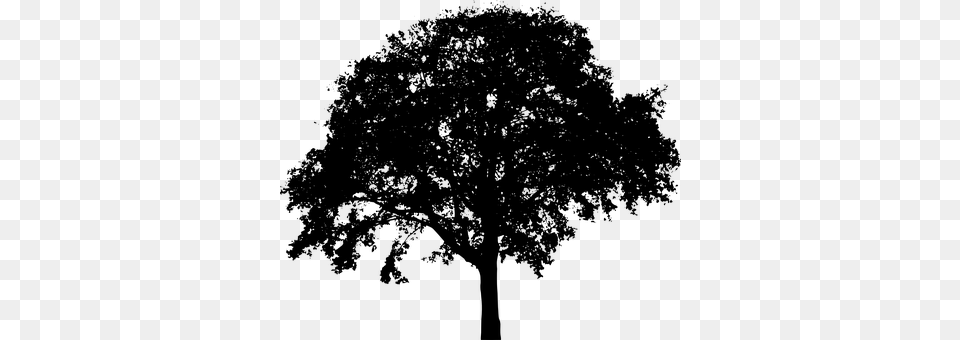 Tree Gray Png Image