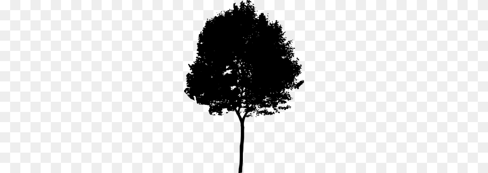 Tree Gray Free Png