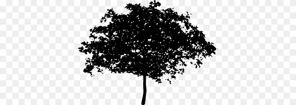 Tree Gray Png Image