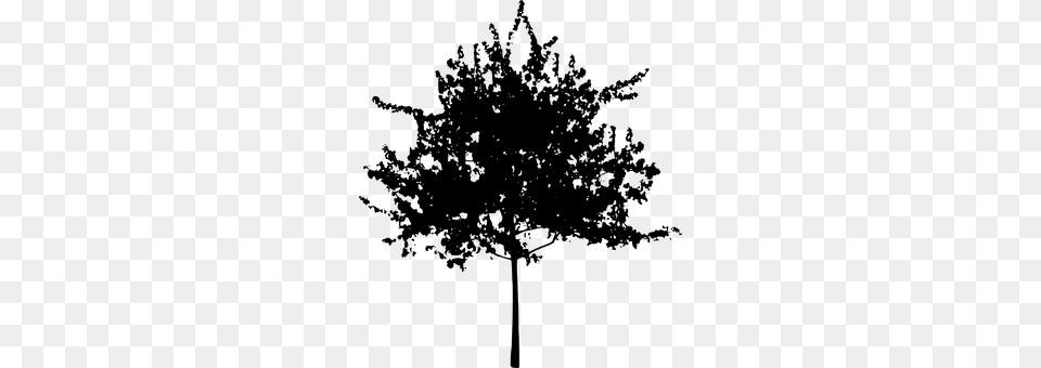 Tree Gray Free Transparent Png