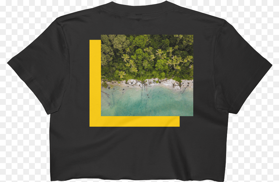 Tree, Clothing, T-shirt, Shirt, Plant Free Png