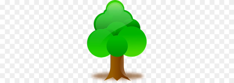 Tree Green, Plant Free Png