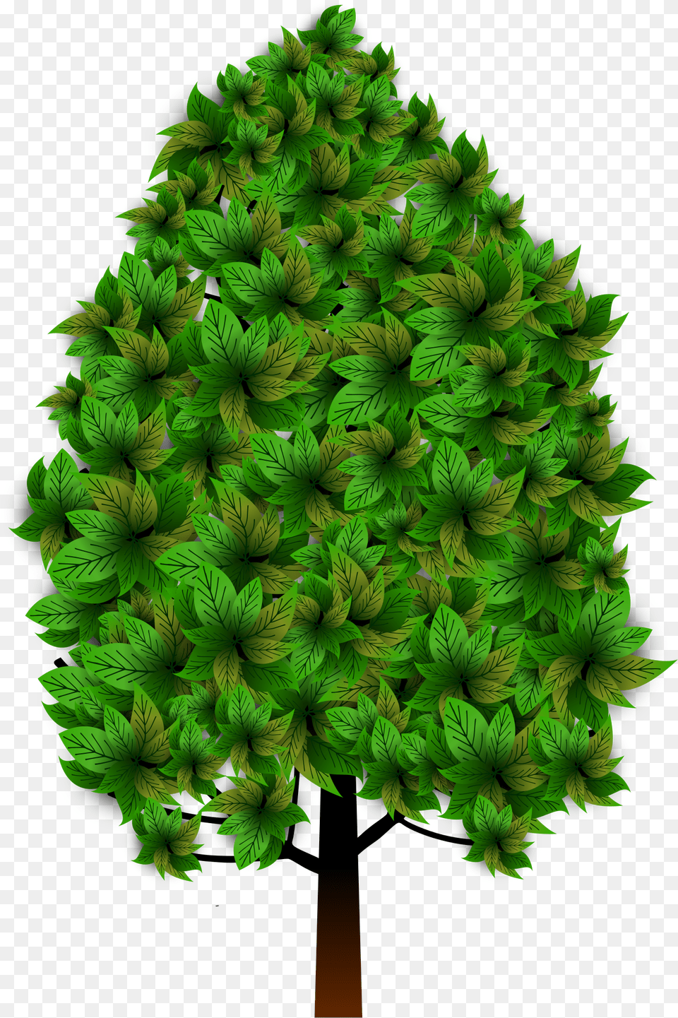 Tree, Green, Plant, Leaf, Pattern Free Png Download