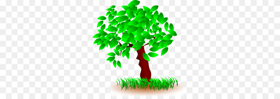 Tree Green, Plant, Potted Plant, Vegetation Free Png