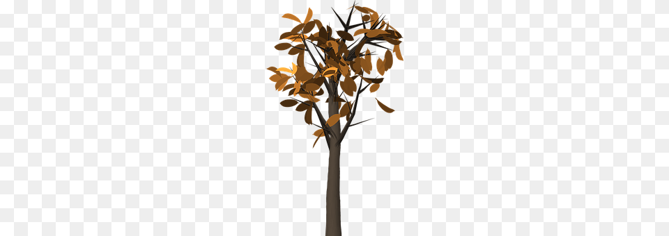 Tree Plant, Tree Trunk, Leaf, Cross Png